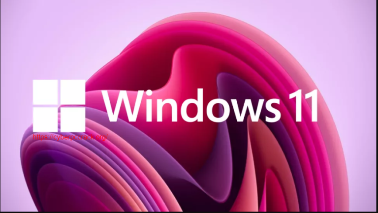 windows 11 lite edition